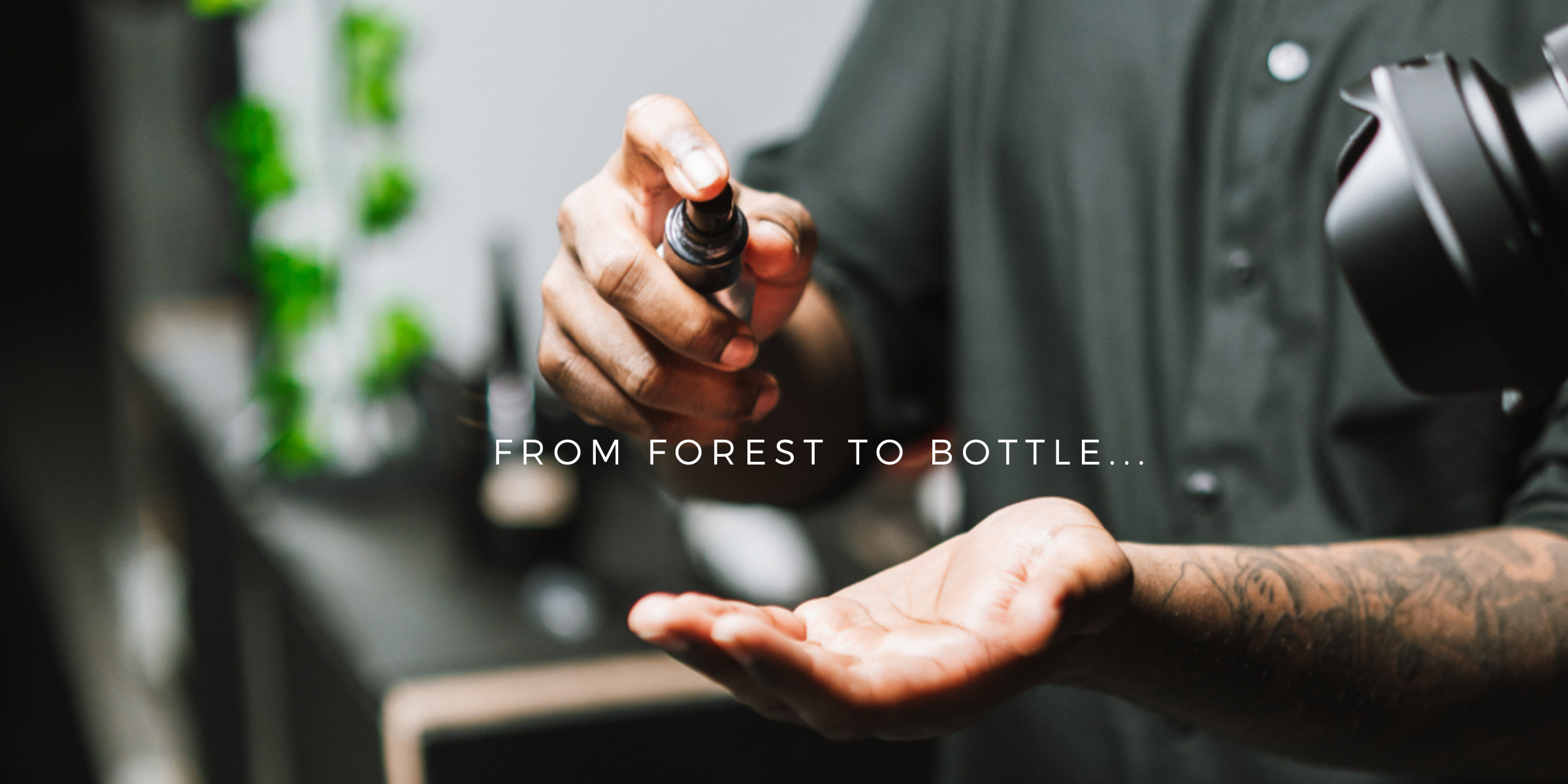 From Forest To Bottle: Every Drop Tells A Story